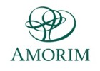 Amorim